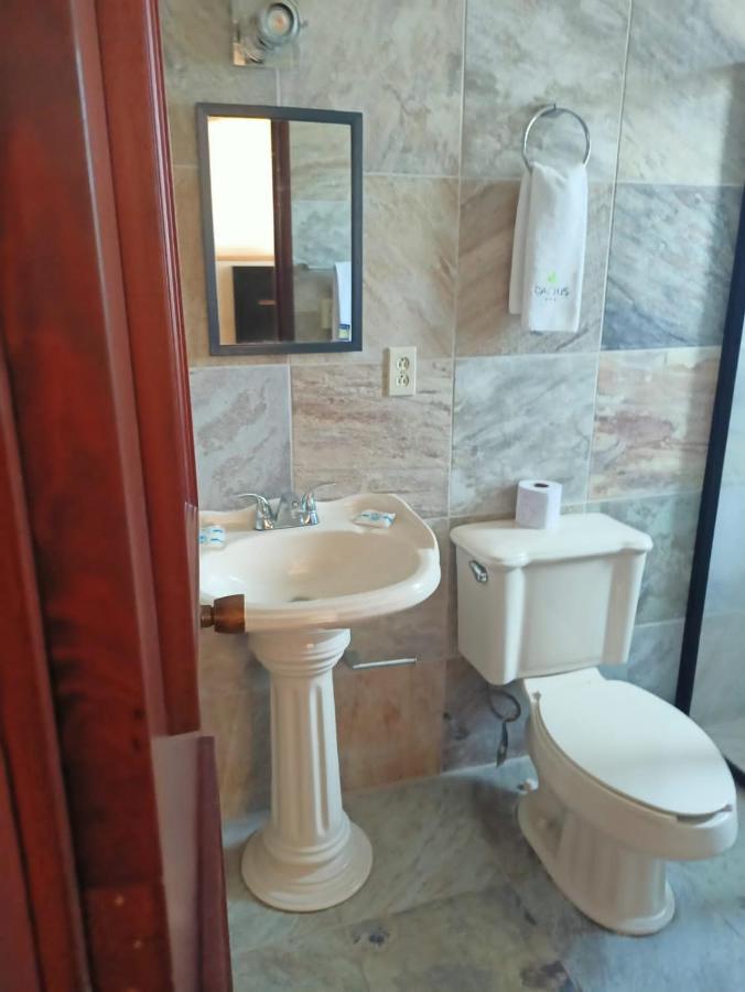 La Casona #9 Hotel San José del Cabo Eksteriør billede